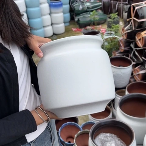 红陶20CM以下正品高22口21