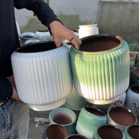 红陶20CM以下正品高22口16
