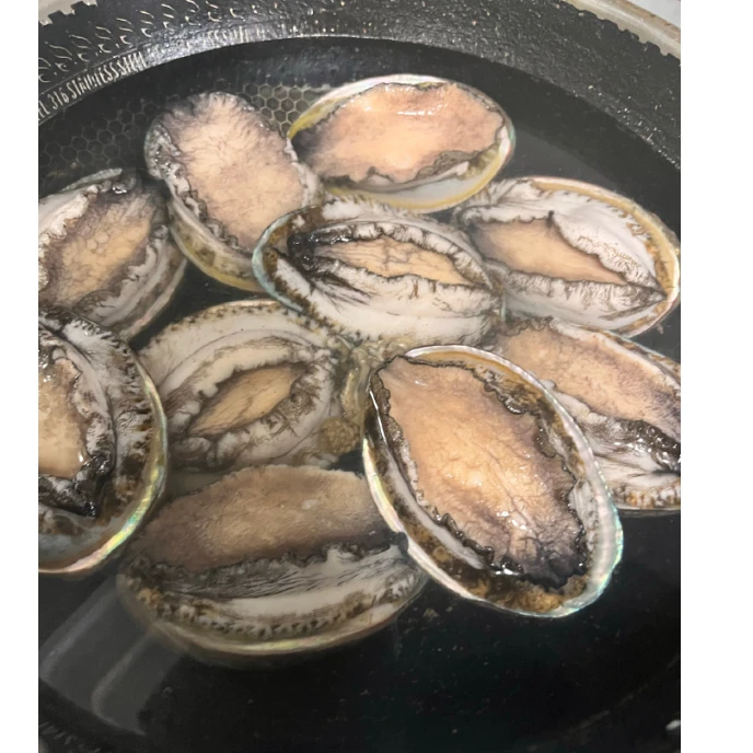原产地，个头均匀 ，鲍鱼快来看看吧