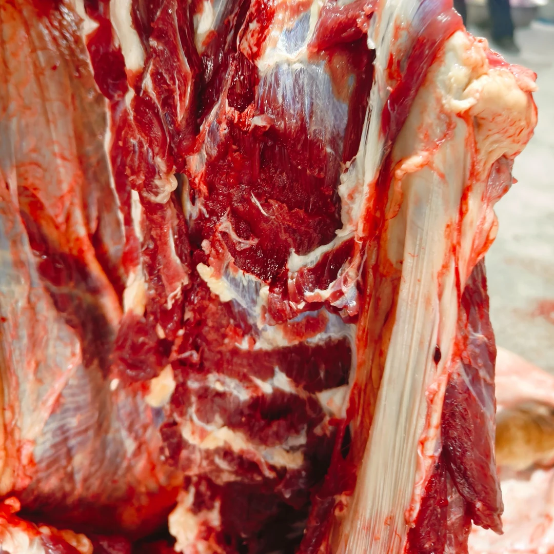 现称土黄牛肉1斤左右起拍