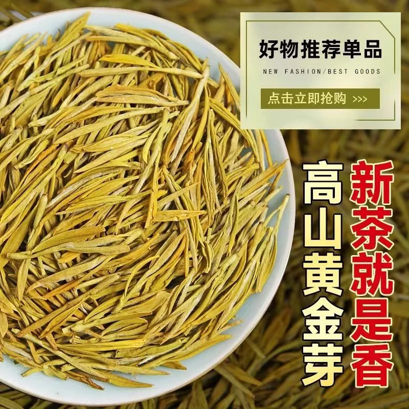 A04黄金芽2025新茶香浓鲜爽茶农一手货优质好茶