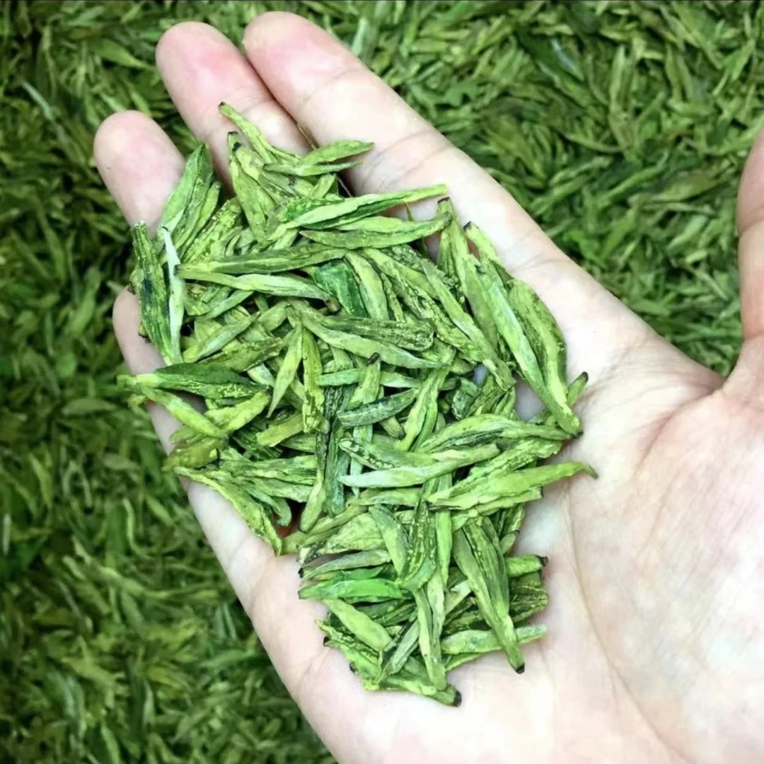 （2023新茶）绿版龙3扁茶