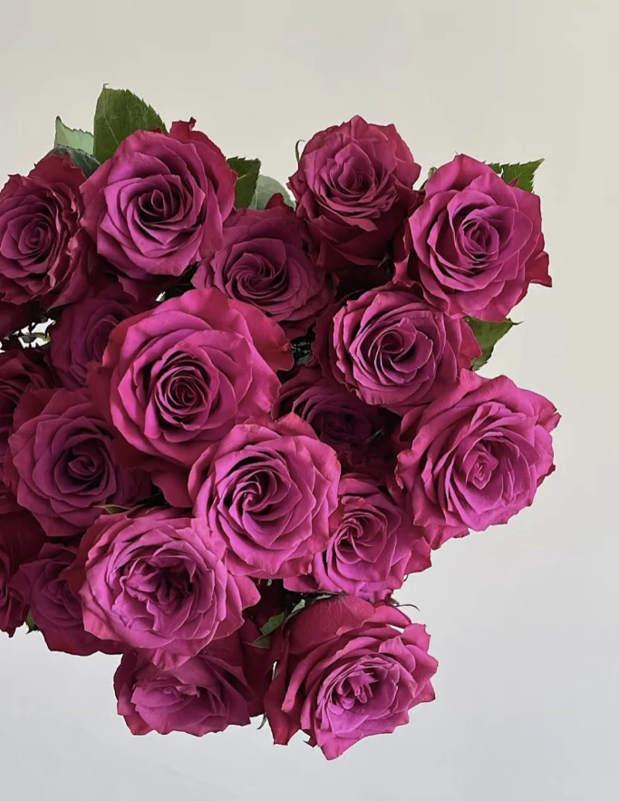 特价多头蓝莓玫瑰.不售后