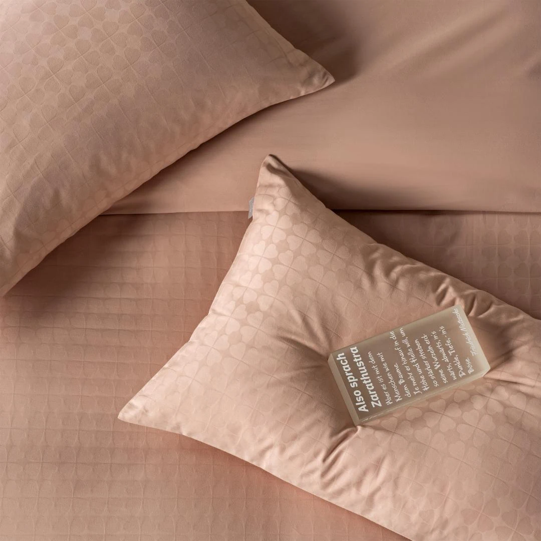 希望丝悦 轻奢简约纯棉新疆长绒棉提花枕套