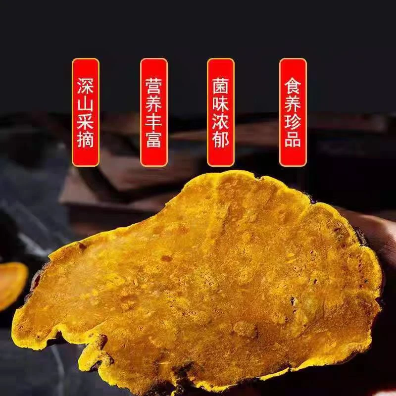 精选桑黄 道地产区 人工挑选另售枸杞