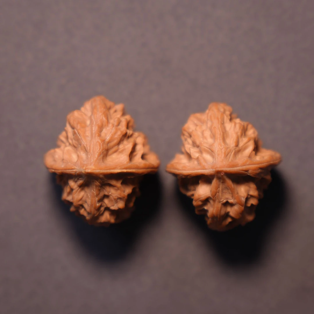 【龙骨-纯原小众】文玩核桃涞水好物云仓福利专场1115