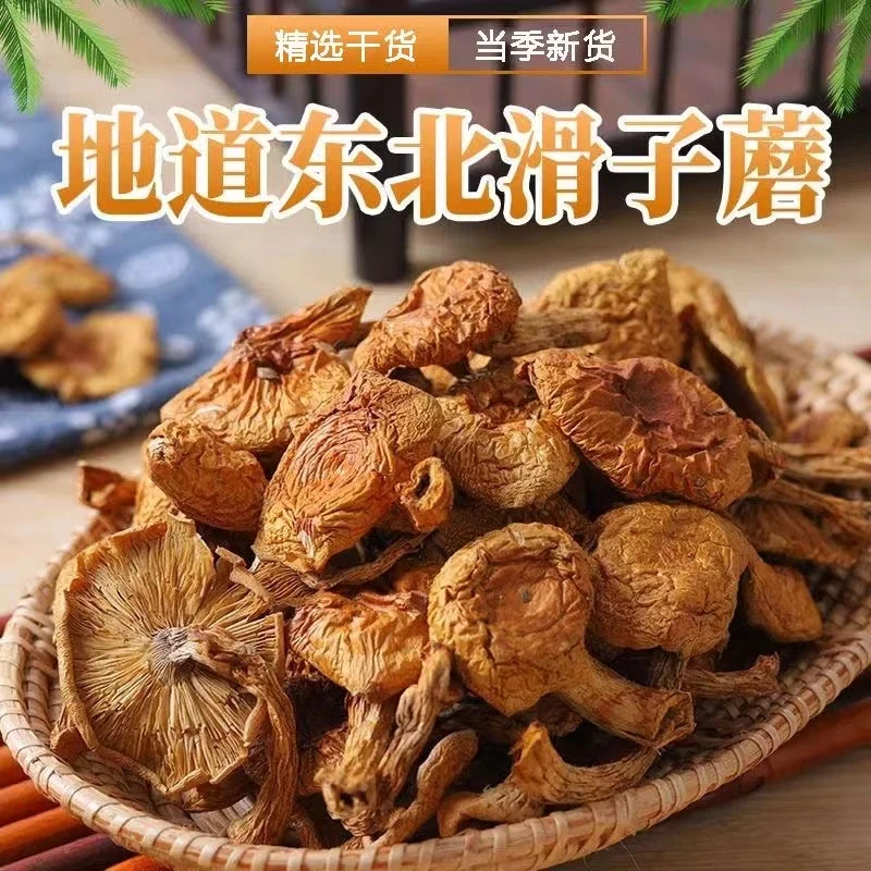 新货东北滑子蘑干货500g长白山特产小鸡炖蘑菇无根250g滑子菇手选
