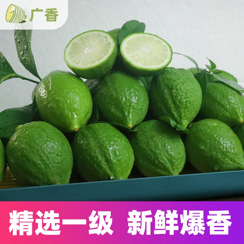 广东香水柠檬靓一级果20斤30斤55斤无籽青柠檬地摊水果奶茶店40斤