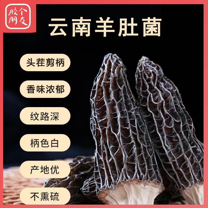 严选云南特级剪柄头茬羊肚菌蘑菇菌类特产新鲜煲汤材料干羊肚菌
