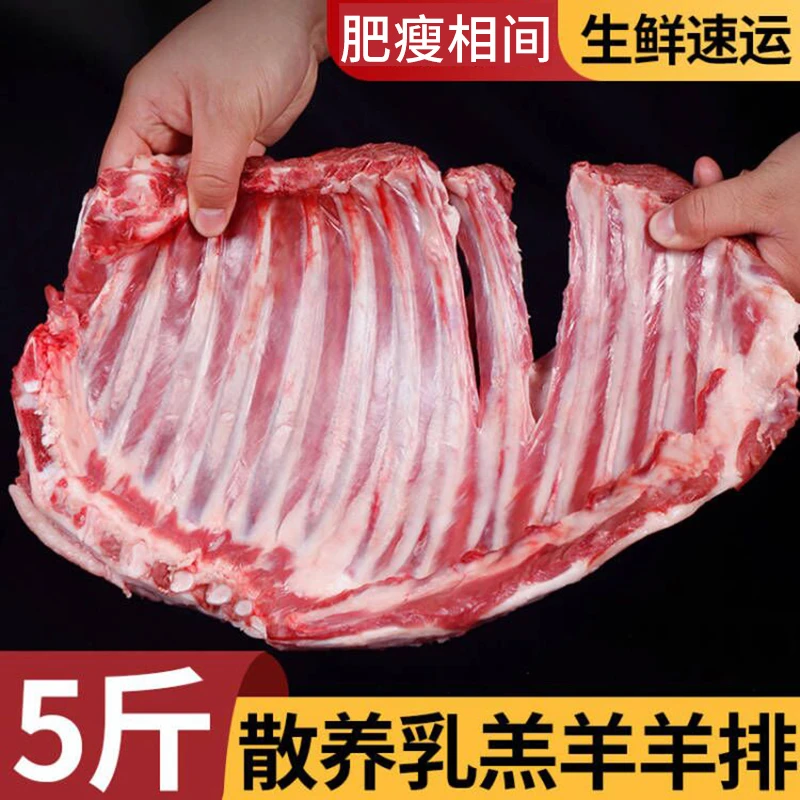 【切块】草原散养乳羔羊羊排5斤切割发货肉质鲜嫩炖汤烤排骨1