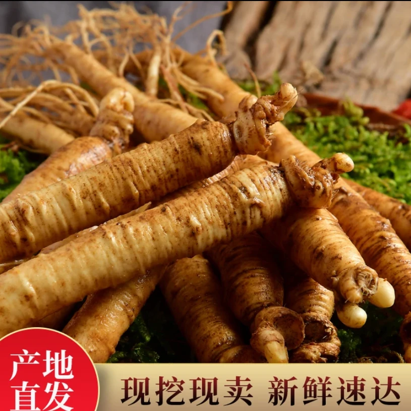 精品长白山人参20支每支（8-10克）京东空运泡茶 煲汤首选体验装