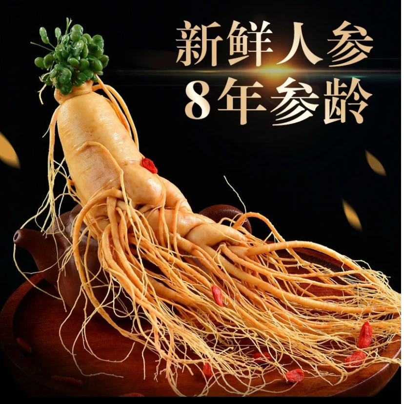 精品长白山人参大货五支装京东空运泡酒 煲汤打粉