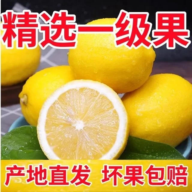 正宗安岳黄柠檬水果当季新鲜水果一整箱薄皮柠檬果子多规格批发