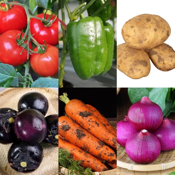 《罐哥农场》6种组合菜6斤装（±2两）新鲜蔬菜