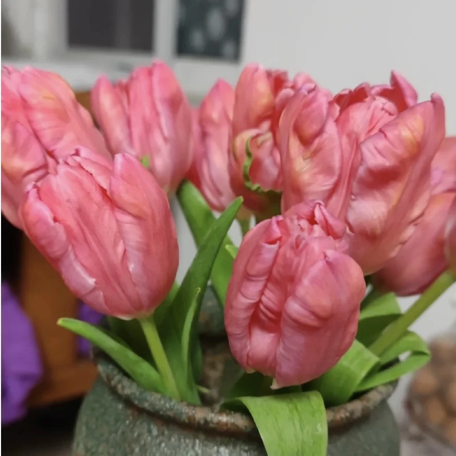 天秤郁金香10支（不懂花别拍）