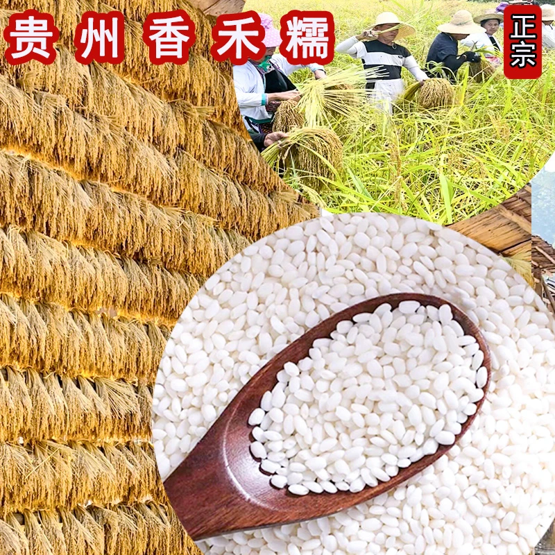 糯米正宗特产香禾糯农家圆糯米包粽子糍粑黎平从江梯田古稻新粘米