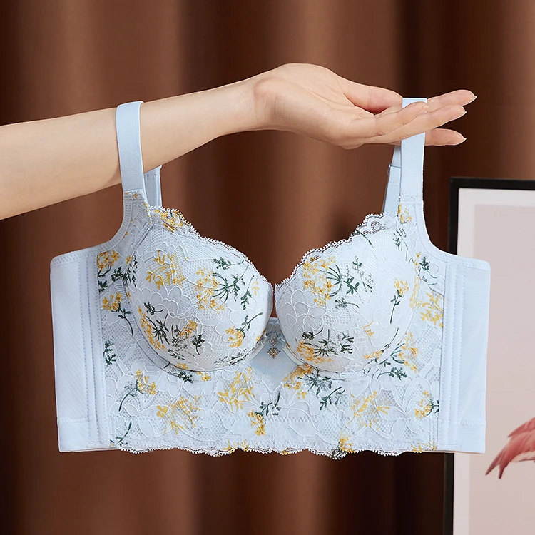 黛安芬的日记院线调整型聚拢型内衣蕾丝小胸显大软钢圈上托文胸罩