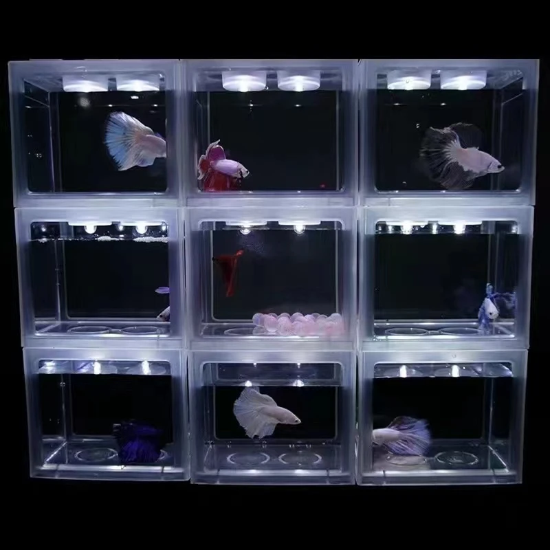 积木缸斗鱼缸办公桌微景观生态缸泰国斗鱼创意小鱼缸鱼缸小型全套