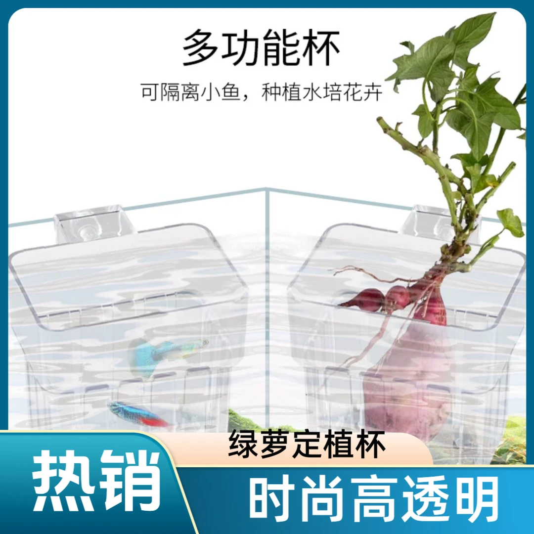 鱼缸绿萝小缸过滤专用水草种植杯水草杯挂式定植篮透明生态缸造景