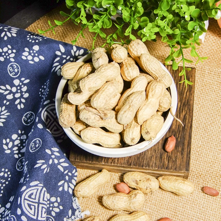 新鲜营养产品正阳特产干净花生果晒干多种含量可当种子0.5斤5斤装