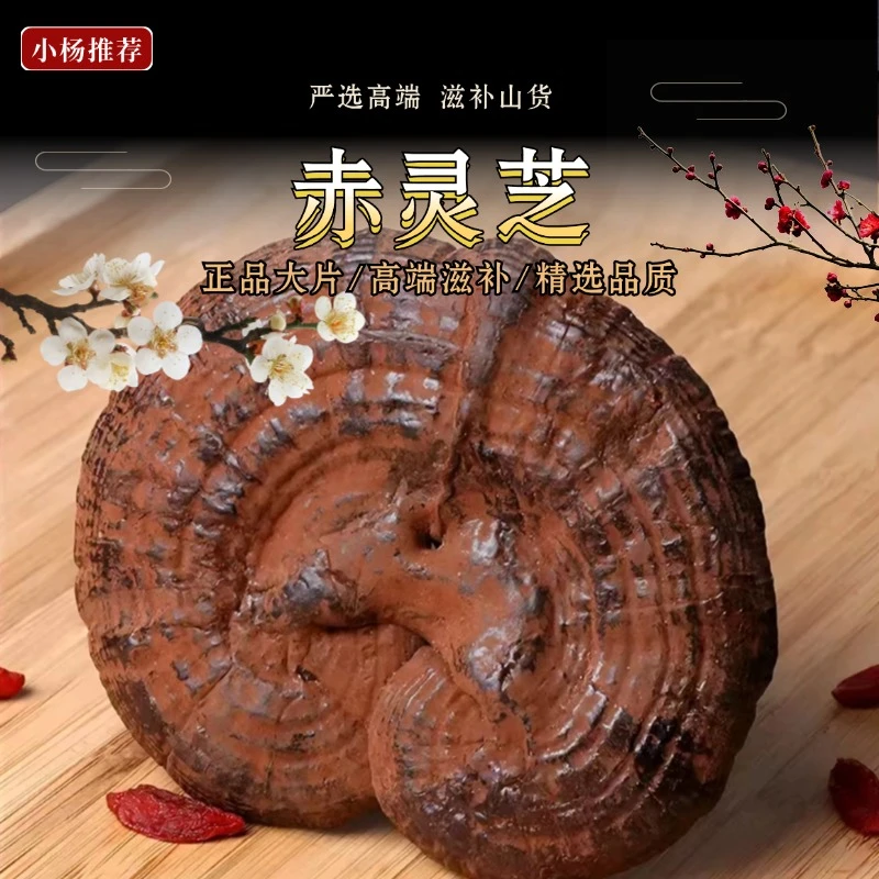 整枝散装长白山  灵芝   切片泡水  xy