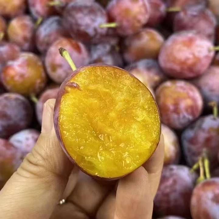 新疆伽师西梅 京东配送