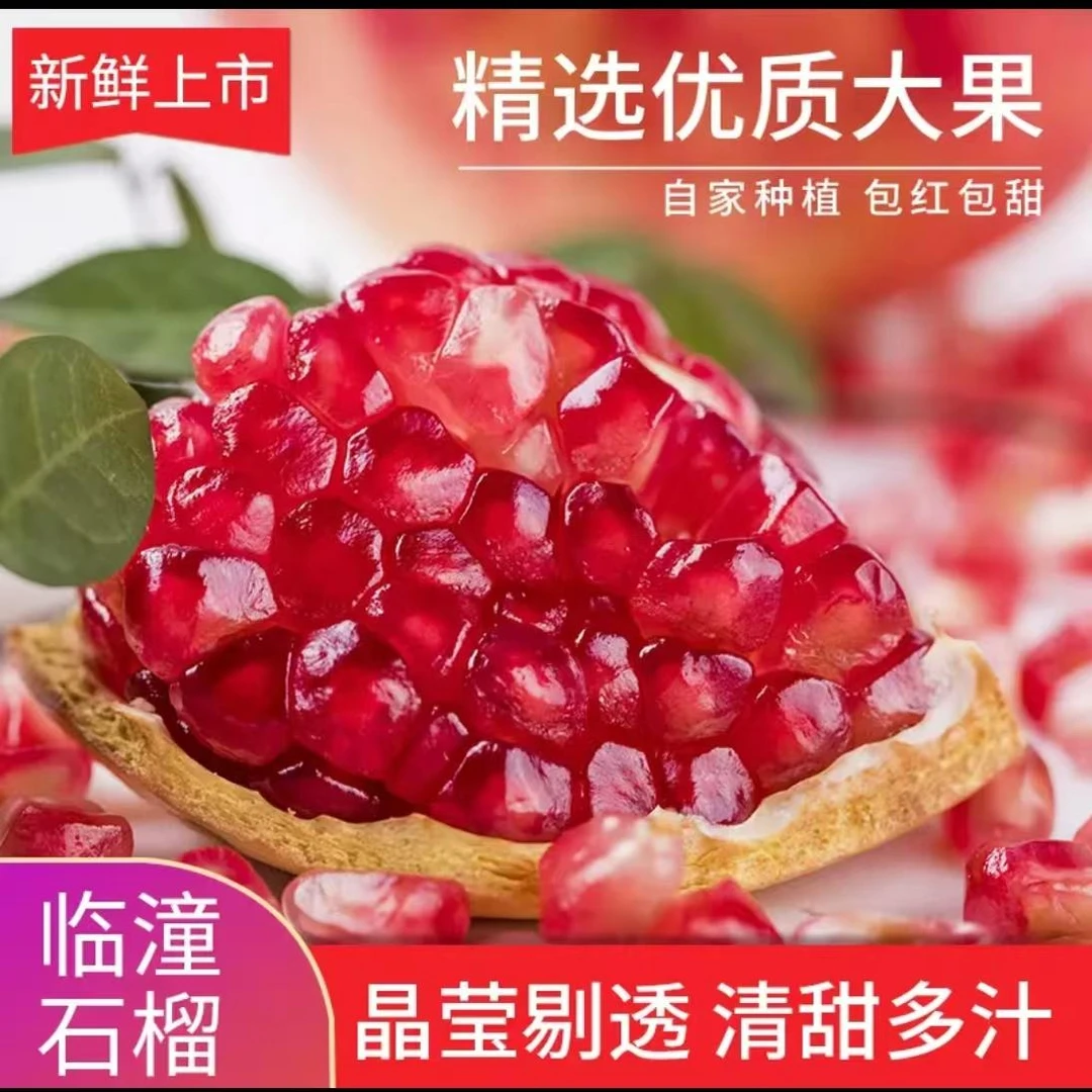 【特大果果王】甜石榴新疆大籽石榴大果王硬籽当天采摘发货