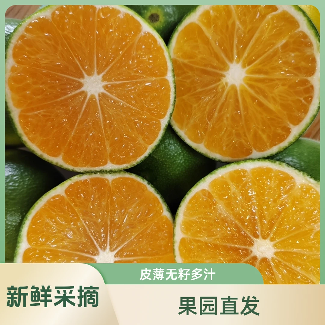 四川资阳高山青皮蜜橘皮薄肉厚无籽多汁现摘现发 净重 1-5斤 孕妇