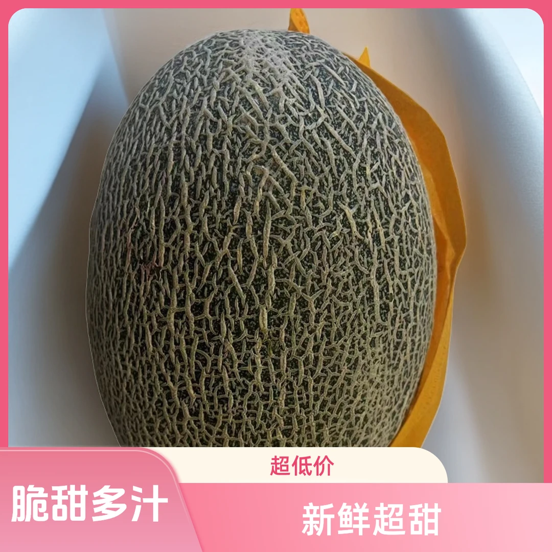正宗新疆哈密瓜晓蜜绿洲蜜萃脆甜美味当季新鲜脆甜多汁新鲜网纹瓜