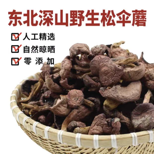 东北特产松树伞新货野生红蘑菇干货日晒食用菌250g