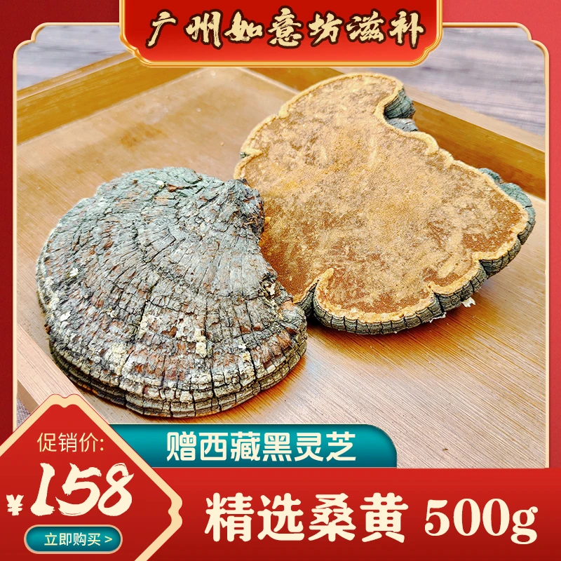 【年底福利】精品西藏桑黄250g/500g 精美礼品袋包装 煲汤泡酒泡水