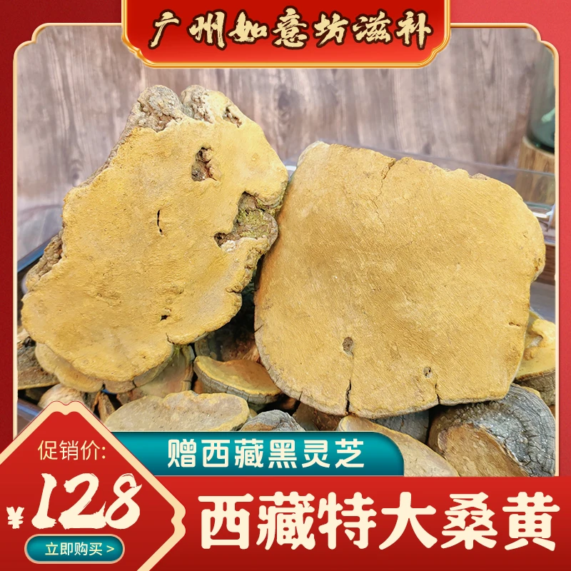 【年货专场】特中大块西藏桑黄250g/500g 煲汤泡酒泡水