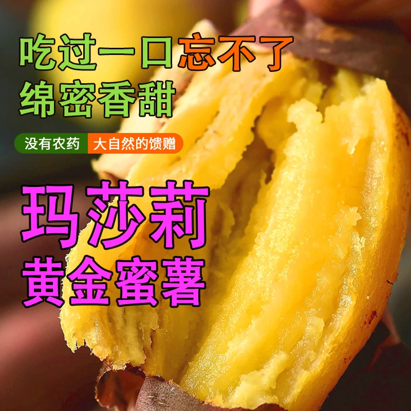 [鲜果]玛莎莉红薯优质香甜美味蜜薯超火山番薯桥头番薯烟薯3-10斤