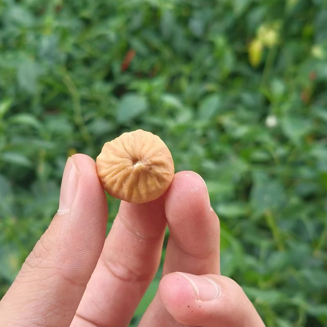 无花果-【净含量】250g-500g
