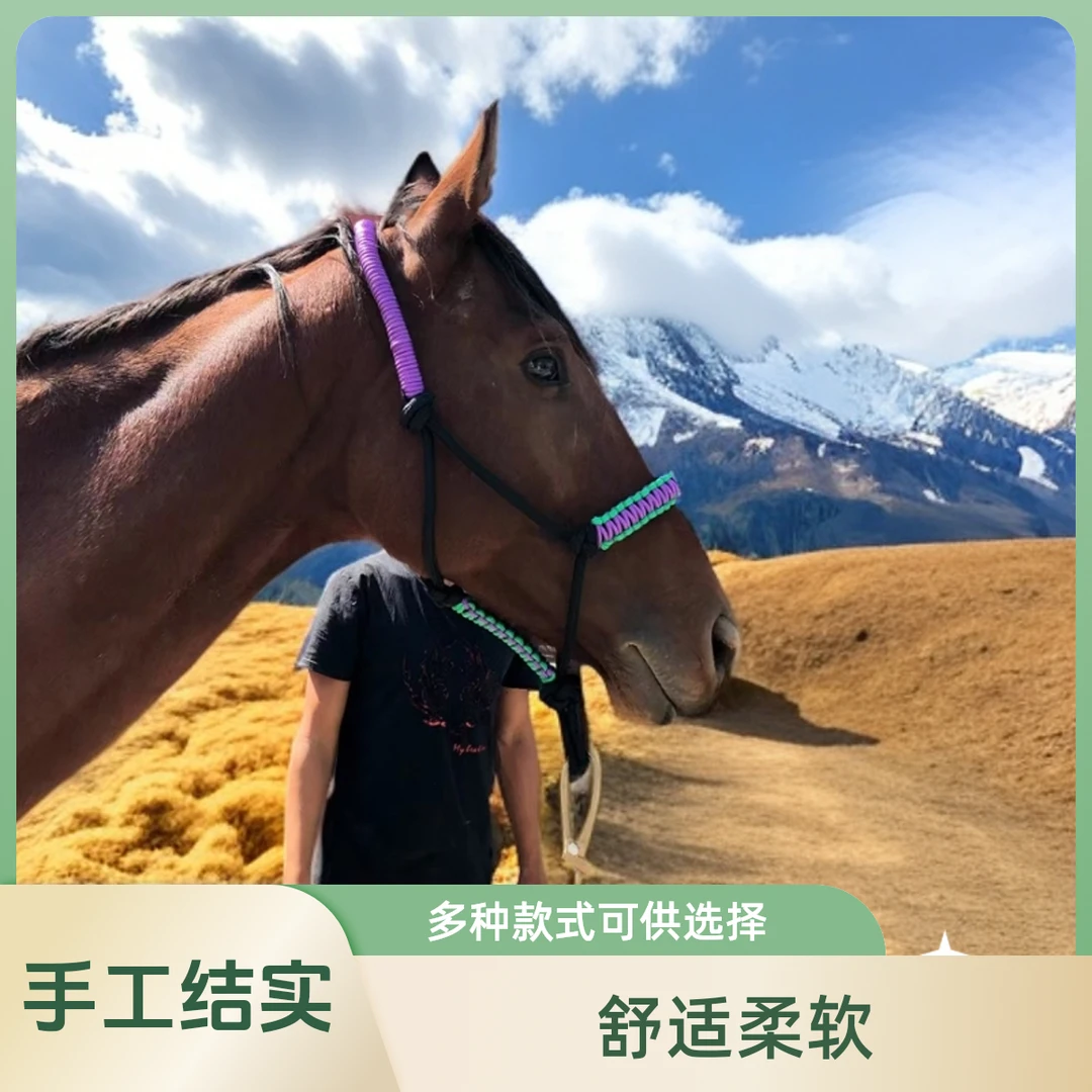全国包邮 西部马笼头 网红马笼头 调教马笼头 手工结实 马具
