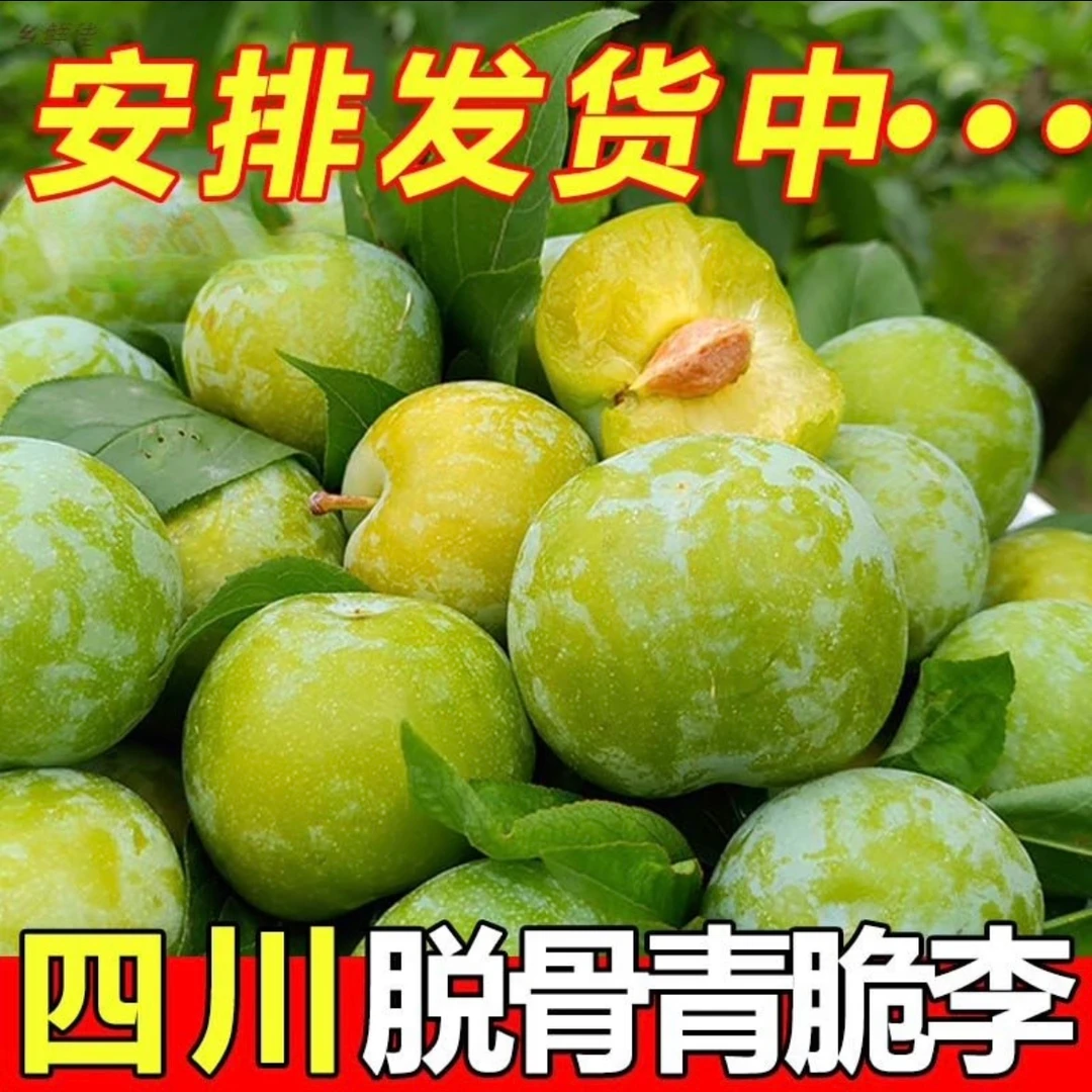 四川脱骨李青脆李新鲜现摘现发青红茵李子3/5斤整箱包邮