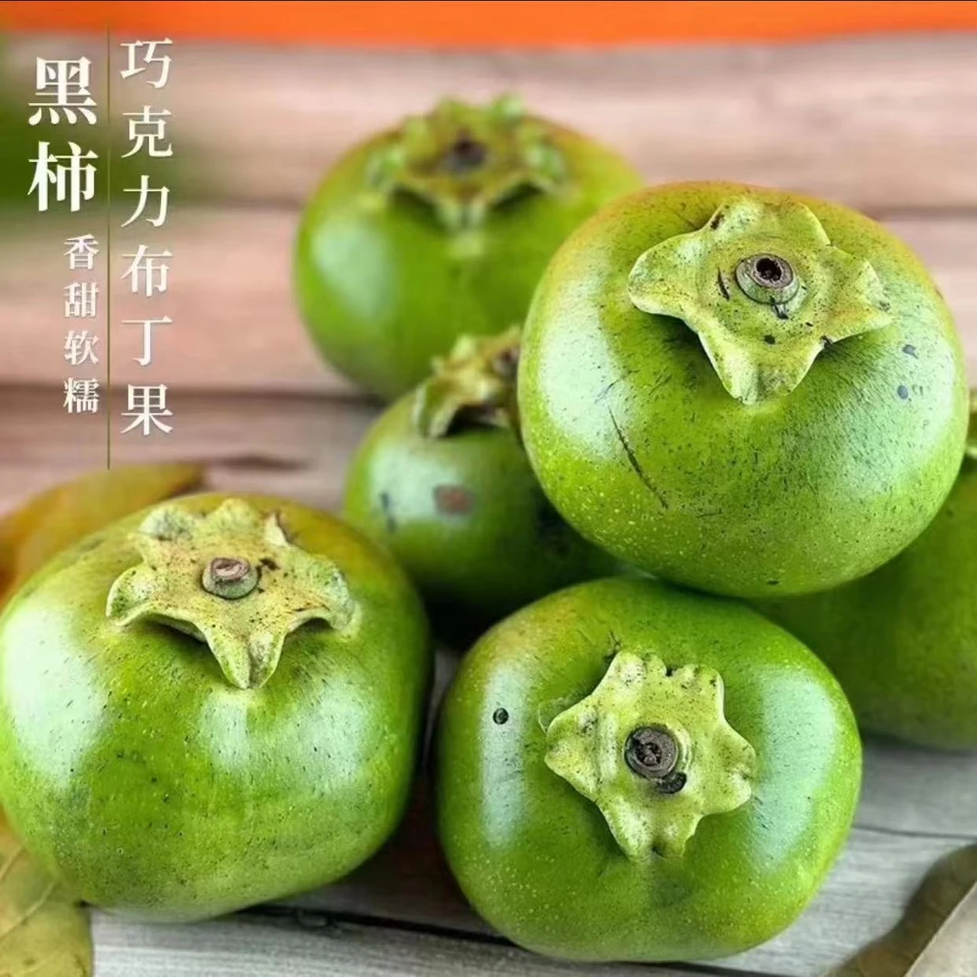 【顺丰包邮】巧克力布丁果黑柿子黑柿稀有罕见水果2-10个装新鲜采摘