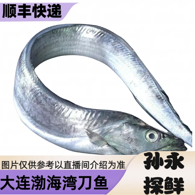 【大连刀鱼】渤海湾刀鱼/复重出售
