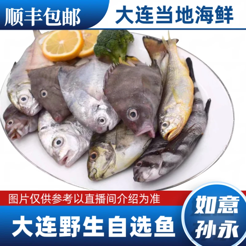 【如意孙永】大连当地自选鱼/实时价格现场承重
