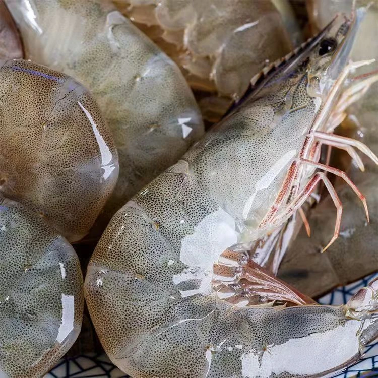 【孙永探鲜】大连海水虾一斤30只左右