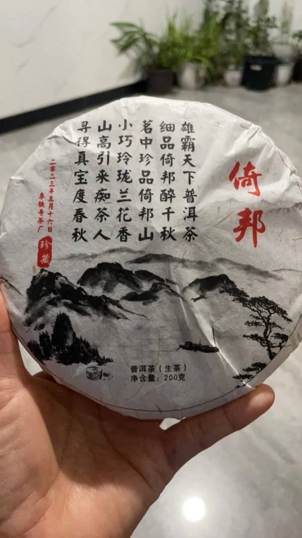 2019年倚邦乔木普洱生茶，200克/饼