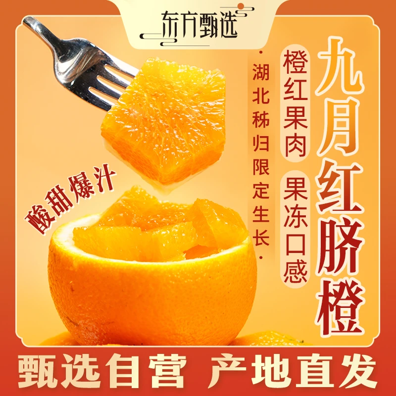 甄选自营 | 东方甄选九月红脐橙 5斤/9斤装 酸甜爆汁坏果包赔