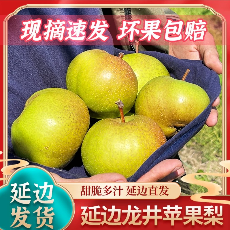 【顺丰25年】延边苹果梨龙井三合苹果梨新鲜当季水果8斤