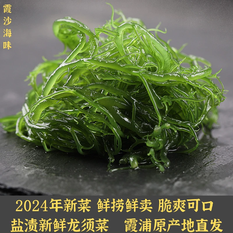 2024霞浦盐渍龙须菜5斤包邮 新鲜海鲜干货海藻海菜石花菜商用凉拌