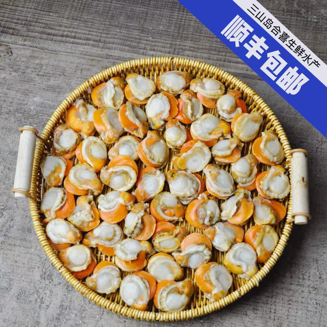 三山岛（皇冠贝）特大号扇贝肉 北城红贝 带黄带膏新鲜熟冻顺丰包邮