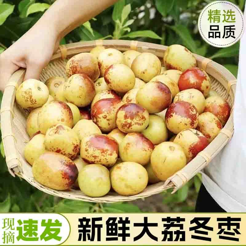 【现摘包邮】正宗大荔冬枣现摘现发新鲜皮薄脆甜大枣孕妇水果冰糖枣