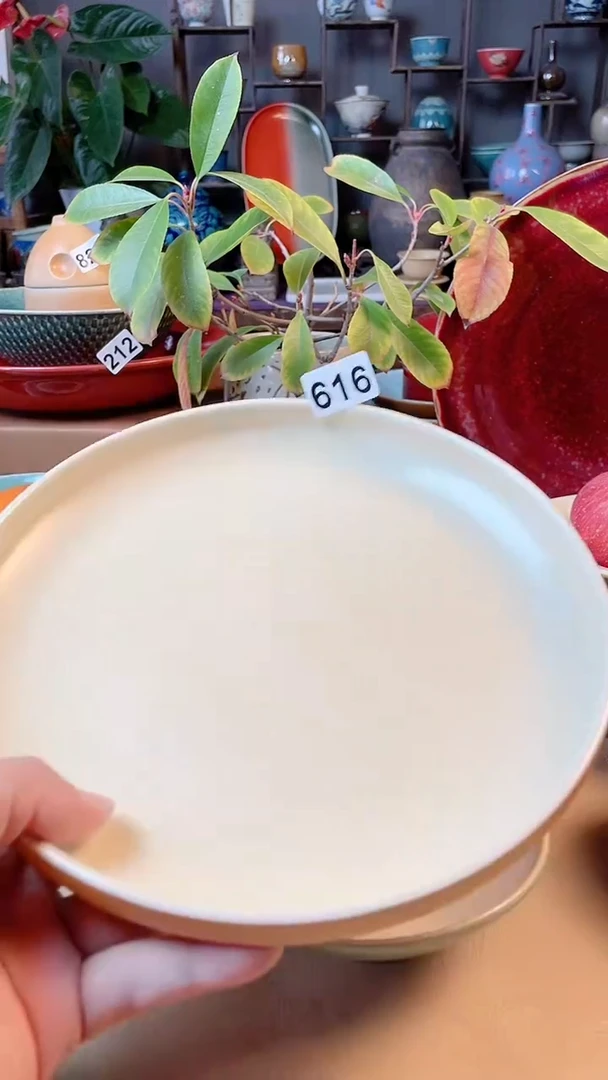 【闪购商品】瓷碗9寸库金立口盘616