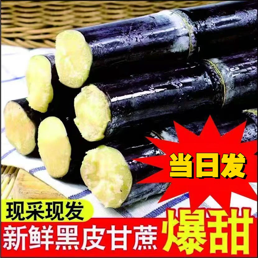 【新鲜中段】广西正宗黑皮甘蔗批发非黄皮甘蔗超甜水果整根整捆长节