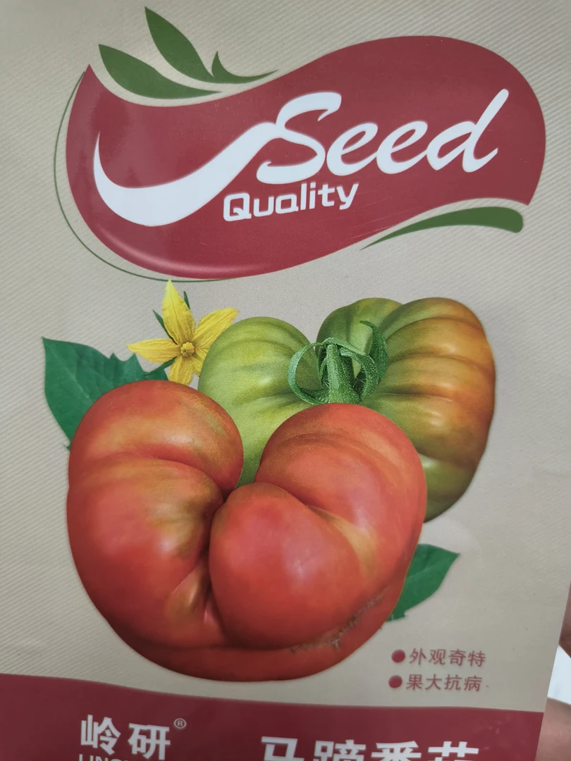 马蹄番茄种子300粒