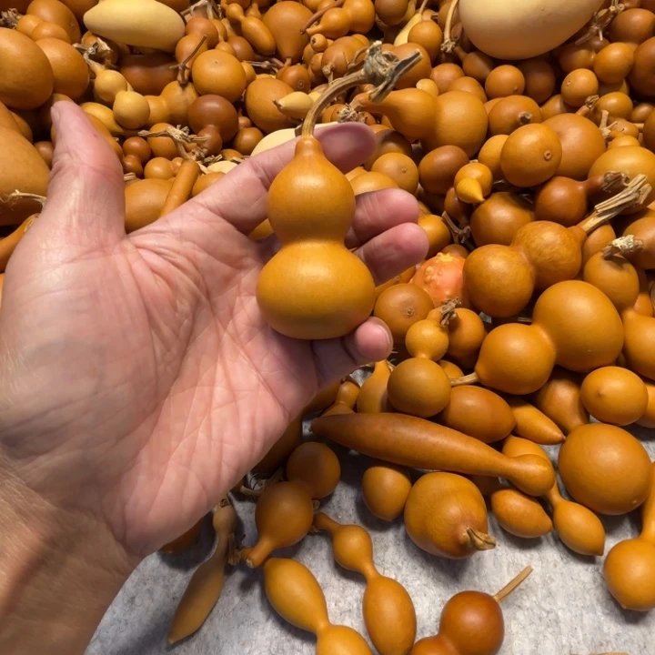 ·*·S的一把八宝葫芦X的葫芦
